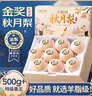 愛鮮摘農(nóng)場(chǎng) 山東萊陽(yáng)秋月梨【閃送-多地隔日達(dá)】豐水梨子水果禮盒中秋送禮 7A級(jí)｜單果300g+【狠甜】 精選果丨5斤裝【超值推薦】?jī)?.5 曬單實(shí)拍圖