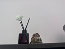 嘉柏蘭無(wú)火香薰家用室內(nèi)臥室房間香氛藤條精油衛(wèi)生間除味空氣清新劑 6瓶 曬單實(shí)拍圖