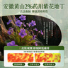 佰氏本草紫花地丁抑菌膏蚊蟲叮咬止癢消腫皮膚手足脫皮熱痱濕疹身體瘙癢膏 曬單實拍圖