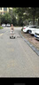 九號(hào)（Ninebot）電動(dòng)兒童平衡車6-12歲代步電動(dòng)車腿控智能禮物雙輪腿控體感L6白色定制禮盒款 曬單實(shí)拍圖