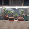 飛利浦全光譜植物生長(cháng)燈家用多肉花卉補光燈上色仿太陽(yáng)光自然光長(cháng)條燈 24W全光譜燈管+飛利浦原裝燈架 曬單實(shí)拍圖