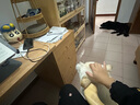 清風(fēng)有芯卷紙3層510克*6卷 大盤紙 商用商場酒店衛(wèi)生紙廁紙 整箱銷售 曬單實拍圖