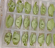 三全 兒童水餃 蝦仁胡蘿卜口味 300g*2盒 84只 組合裝 早餐水餃 速凍 曬單實拍圖