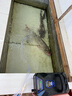 老漁匠交直流增氧泵大功率充電兩用沖打氧機(jī)器魚(yú)缸海鮮魚(yú)池養(yǎng)魚(yú)賣氧氣泵 30W四孔分流-鋰電池-指示燈】40斤內(nèi)魚(yú) 曬單實(shí)拍圖