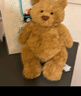 Jellycat巴塞羅熊動物毛絨玩偶兒童安撫公仔小熊潮玩生日七夕情人節(jié)禮物 巴塞羅熊 Medium 曬單實拍圖