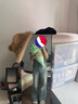 躺島瓜瓜即刻涼感抱枕 柔軟清涼可拆卸夏季家用抱枕芯 綠鯉魚(yú)抱枕（72*23cm） 78cm*23cm 含枕芯 曬單實(shí)拍圖