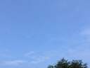 鴻星爾克（ERKE）運(yùn)動鞋男鞋休閑夏季網(wǎng)面透氣輕便軟底耐磨通勤久站戶外跑步鞋男士 曬單實(shí)拍圖