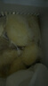 喜德農泰國貓山王榴蓮肉  1kg*1袋 帶核冷凍新鮮樹(shù)熟榴蓮果肉順豐配送 泰貓1kg 曬單實(shí)拍圖