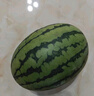現(xiàn)摘現(xiàn)發(fā)2k西瓜當季手剝薄皮小糖丸西瓜新鮮水果冰糖子小西瓜 3-4斤（1-2個） 曬單實拍圖