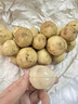 泰國(guó)進(jìn)口龍宮果新鮮孕婦水果大果鮮甜多汁龍貢果甄選珍品精選特價(jià) 龍宮果凈重2斤 曬單實(shí)拍圖