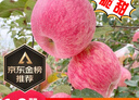 洛川蘋果陜西延安特產(chǎn)紅富士時(shí)令蘋果水果禮盒送蘋果生鮮新鮮脆甜整箱批發(fā) 10斤爆賣70-75mm（凈重8.5斤） 曬單實(shí)拍圖