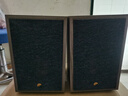 惠威（HiVi）Oasis（綠洲）無源HiFi音箱高保真書架hifi音響 客廳書房電視電腦音箱 送避震底座 Oasis 綠洲（不含功放） 曬單實拍圖