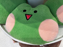 名創(chuàng)優(yōu)品（MINISO）minini系列頭型靠枕毛絨玩具睡覺抱枕沙發(fā)臥室陪伴玩偶 lenini 曬單實拍圖