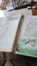 【新華書店正版】適用2025新版小學(xué)2二年級(jí)上冊(cè)語(yǔ)文書人教版部編版 2二年級(jí)上冊(cè)語(yǔ)文課本教材教科書2二上語(yǔ)文書義務(wù)教育教科書人民教育出版社二年級(jí)語(yǔ)文上冊(cè) 2025新版 二年級(jí)上冊(cè)語(yǔ)文 曬單實(shí)拍圖