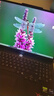 聯(lián)想拯救者Y7000P 2025 游戲筆記本電腦(i9-14900HX 16G 1T RTX5060 2.5K 240Hz 黑)國家補貼20% 曬單實(shí)拍圖