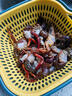 滿護(hù)將爆籠餌料魚蝦網(wǎng)籠釣龍蝦蝦籠藥捕魚誘餌鯽魚鯉魚打窩料 爆籠王【10包共50g】 【穿透力強(qiáng) 持久留香】 曬單實(shí)拍圖