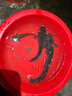 小鳳仙翹嘴行程漂H-NC高靈敏魚漂醒目加粗大物青魚草魚鰱鳙漂 曬單實(shí)拍圖