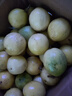 鮮青錄廣西黃金百香果欽蜜9號(hào)新鮮水果黃色白香果西番蓮雞蛋果 凈重5斤（單果40-60g） 曬單實(shí)拍圖
