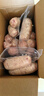 京東京造90%黑豬鮮肉腸900g 純黑豬肉烤腸配料極簡(jiǎn)不含淀粉雞肉 曬單實(shí)拍圖