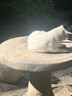 【山姆同款】MCT巧克力夢(mèng)龍派黑巧樹(shù)莓派健身代餐高飽腹絲滑可可 【一盒】巧克力80g 曬單實(shí)拍圖