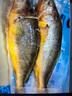 海名威 冷凍黃花魚700g/2條 寧德大黃魚地標(biāo) 海鮮水產(chǎn) 生鮮魚類  曬單實(shí)拍圖