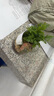 八芽趣味鮮活苔蘚微型景觀創(chuàng)意室內(nèi)桌面生態(tài)綠植盆栽盆景懶人好養(yǎng)植物 山野人家 帶玻璃杯 曬單實(shí)拍圖