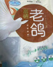 硒全食美富硒老鴿 凈重400g/只 冷凍 供港鴿子生鮮冷鏈 煲湯優(yōu)選鹵煮食材 曬單實(shí)拍圖