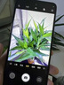 16G+1024G新品全網(wǎng)通5G智能手機(jī)驍龍八核大屏游戲?qū)W生便宜百元機(jī) 陶瓷金X90Pro全網(wǎng)通5G驍龍8+ 16G運(yùn)行+512G內(nèi)存 套餐一手機(jī)全套+藍(lán)牙耳機(jī)+充電寶 曬單實(shí)拍圖