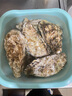 貝司令【源頭直發(fā)】鮮活乳山生蠔牡蠣貝類聚會燒烤6XL凈重4.5斤端午聚餐 曬單實拍圖
