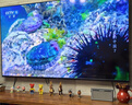 索尼（SONY）85英寸 索尼電視7系 MiniLED 電影感光影/原彩 22bit灰階控制 XR芯片 85XR70 一級能效 國家補(bǔ)貼 曬單實(shí)拍圖