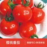 京鮮生＆知翠 串串櫻桃小番茄450g*2盒 生吃小西紅柿 新鮮水果 源頭直發(fā) 曬單實(shí)拍圖