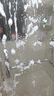 水衛(wèi)士（水衛(wèi)仕）浴室清潔劑500g*3瓶衛(wèi)生間廁所玻璃水瓷磚地板清洗劑 曬單實拍圖
