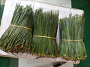 松茗堂長(cháng)白山野生松針茶 紅松針葉五針松馬尾松針茶500g/包郵 曬單實(shí)拍圖