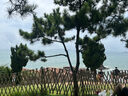 阿迪達(dá)斯Yeezyfoam黑武士夏日清涼椰子男女運動洞洞鞋IG5349 44.5 曬單實拍圖