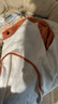 無(wú)印良品（MUJI）棉 寵物T恤 寵物用品 寵物家居服 小型犬適用 橙色 M 曬單實(shí)拍圖