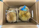 京鮮生 進(jìn)口金枕榴蓮 巴掌榴蓮2個裝 總凈重4斤以上 源頭直發(fā) 包郵 曬單實拍圖