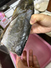 鮮喜愛 冷凍千島湖有機鰱魚頭1.5斤 白鰱魚頭  生鮮魚類 海鮮水產(chǎn) 曬單實拍圖