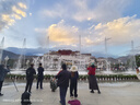 向晚發(fā)夾發(fā)卡法式抓夾女四葉草AB發(fā)夾女高級感發(fā)飾后腦勺盤發(fā)鯊魚夾子 曬單實拍圖