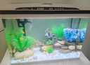 長(cháng)銳恒溫魚(yú)缸智能水族箱自循環(huán)生態(tài)全自動(dòng) 超白CRV580智能款【長(cháng)58x寬27x高45】 曬單實(shí)拍圖
