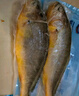 海名威 冷凍寧德黃花魚600g/條 大黃魚 深海魚 生鮮魚類 海鮮水產(chǎn)  曬單實(shí)拍圖