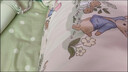 千居惠親膚棉床單床上用品四件套A類純棉四件套被套加厚卡通宿舍三件套 A類棉質更舒服 升級加厚（彼得兔） 床單款 2.0米床三件套：被套200X230 曬單實拍圖