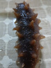 參福元 長(zhǎng)島底播淡干海參 50g 5-9頭/盒 7年簡(jiǎn)裝 曬單實(shí)拍圖
