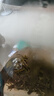 青蘋(píng)果耐熱玻璃涼水壺1.95升大容量 可加熱燒水壺 泡茶煮涼茶壺冷水壺 曬單實(shí)拍圖