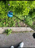 米萊德電動(dòng)割草機(jī)小型家用除草機(jī)充電式草坪修剪機(jī)鋰電多功能打草機(jī)神器 曬單實(shí)拍圖