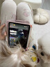 Apple蘋果平板電腦iPad mini5/6 air3/4/5/6  ipad10代 二手 mini6 256G 8.3英寸 wifi版 95成新 曬單實拍圖