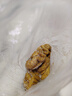 蘇食香鹵肥腸1斤 火鍋食材鹵味熟食半成品食品下酒菜肥腸豬大腸生鮮 曬單實拍圖