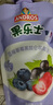 果樂(lè )士水果泥蘋(píng)果草莓藍莓香蕉水蜜桃芒果西番蓮多味兒童出游零食吸吸袋 113g*10包 【藍莓草莓黑加侖泥】 曬單實(shí)拍圖