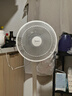 美的（Midea）電風(fēng)扇 家用七葉立式落地扇宿舍臥室輕音節(jié)能搖頭桌面小風(fēng)扇大風(fēng)力空氣循環(huán)風(fēng)扇 SAF30AC  曬單實(shí)拍圖