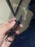 MICROKIA2025最新款HiFi有線游戲耳機(jī)入耳式高音質(zhì)大動(dòng)圈聲場(chǎng)聽(tīng)聲辨位吃雞電腦三角洲行動(dòng)fps電競(jìng)音樂(lè)耳塞 曬單實(shí)拍圖