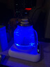 禮茶德全自動(dòng)底部上水電熱燒水壺泡茶壺智能家用煮茶器燒水一體機高硼硅玻璃 1L 桶裝水款 曬單實(shí)拍圖